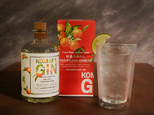 蜜柑ジントニック